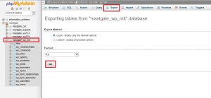 website security - phpmyadmin database export