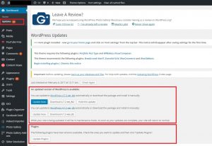 website security - wordpress updates